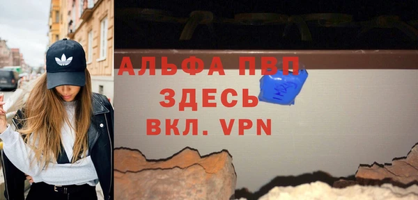 твердый Гусев