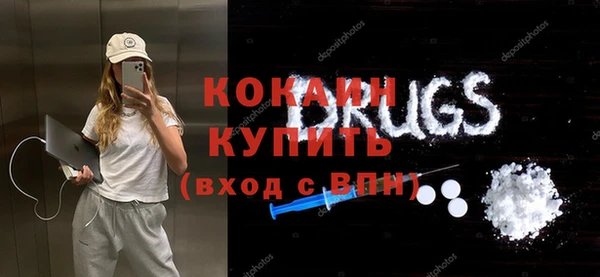 твердый Богородск