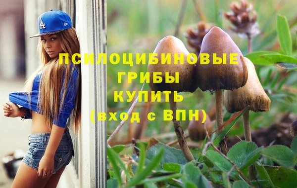 твердый Богородск
