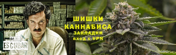 твердый Богородск