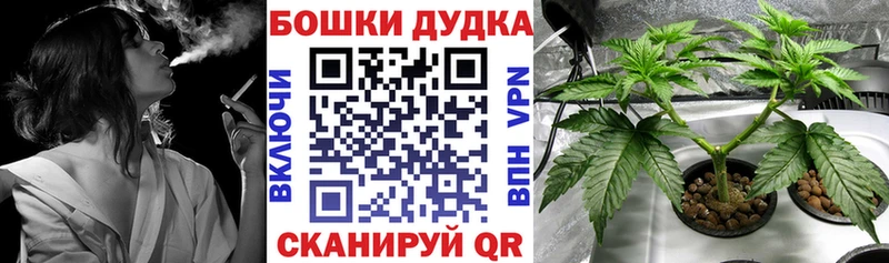 закладка  Тихвин  Марихуана планчик 